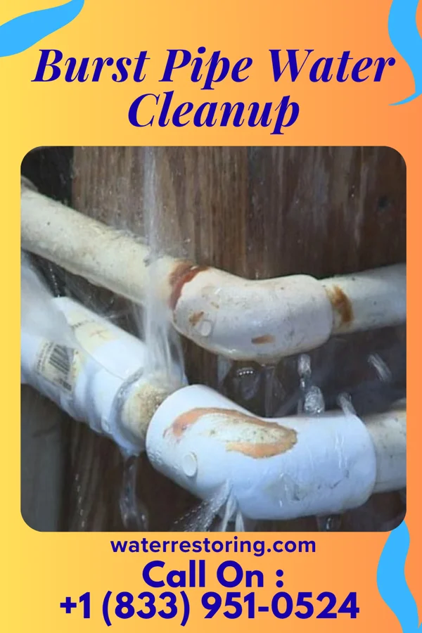 Burst Pipe Water Cleanup in Wilmerding, PA