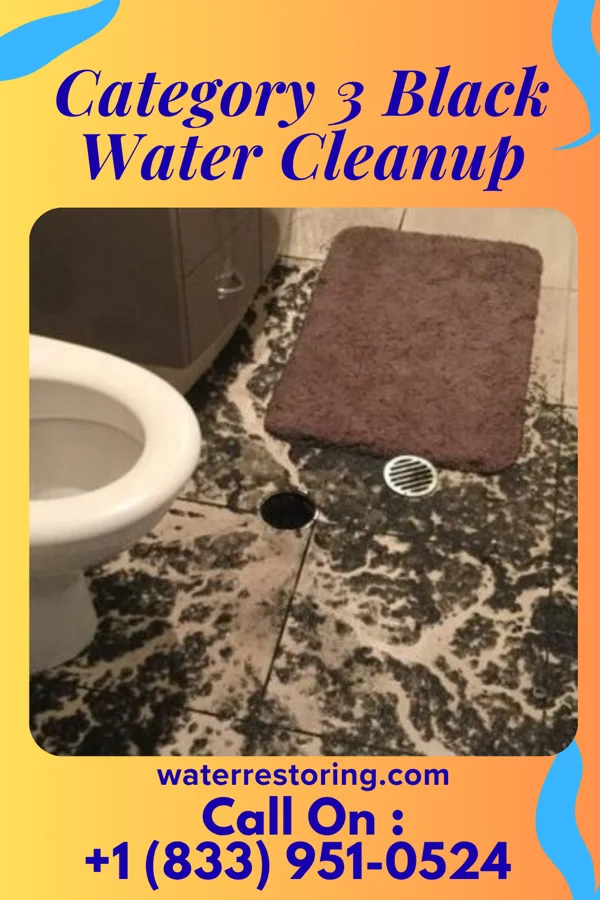 Category 3 Black Water Cleanup in Wilmerding, PA