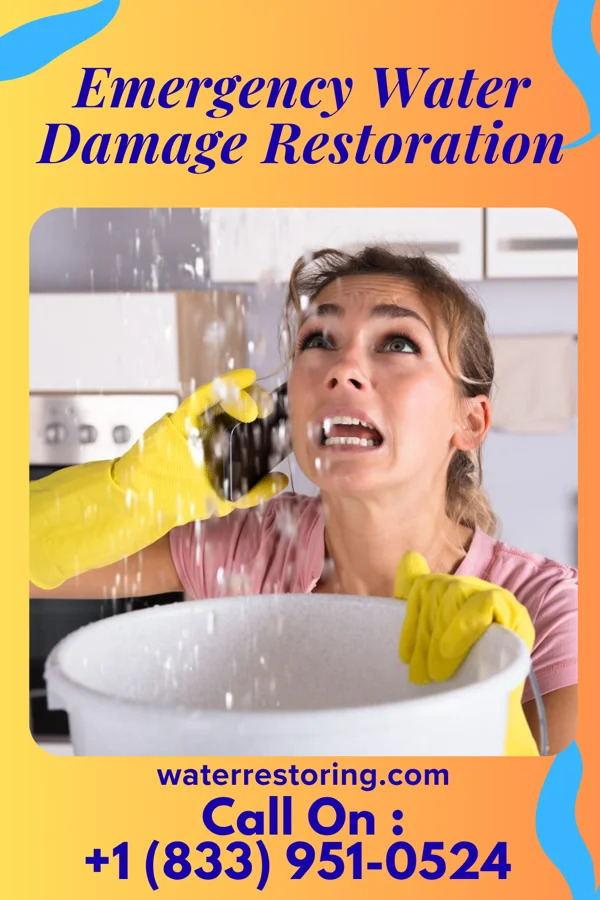 Emergency Water Damage Restoration in Wilmerding, PA