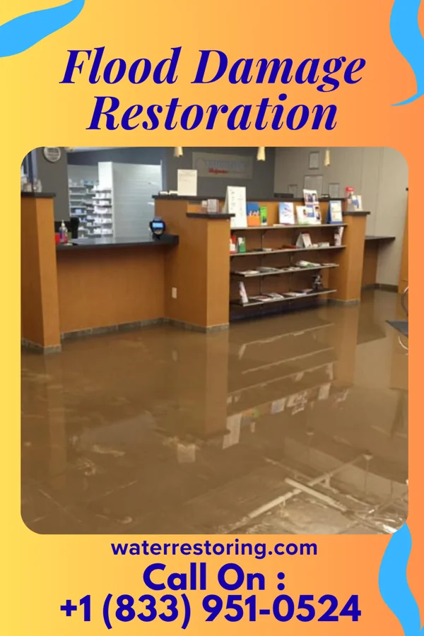 Flood Damage Restoration in Wilmerding, PA