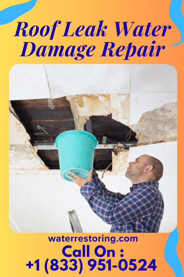 Roof Leak Water Damage Repair in Wilmerding, PA