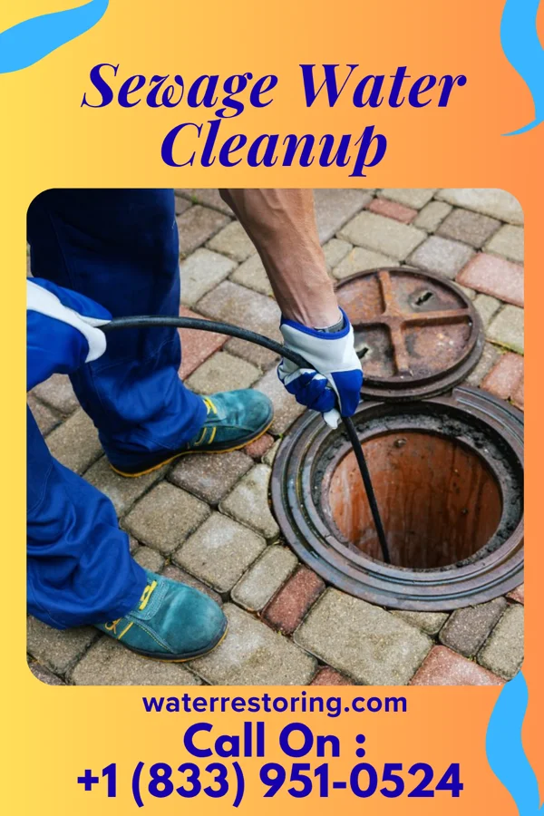 Sewage Water Cleanup in Wilmerding, PA