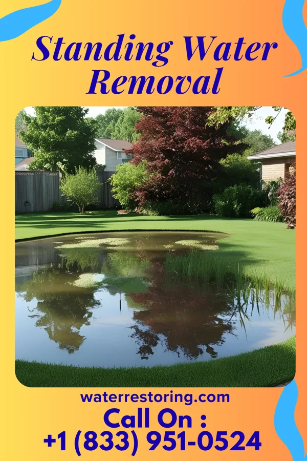 Standing Water Removal in Wilmerding, PA